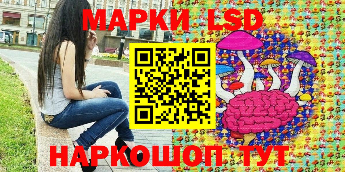 Наркотические марки 1,5мг  Вход с VPN  Нововоронеж  Наркотические марки 1,5мг 