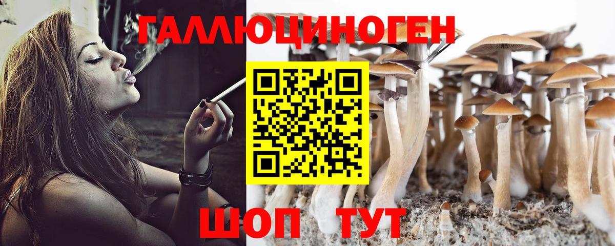 Галлюциногенные грибы мухоморы  Псилоцибиновые грибы Psilocybine cubensis  Нововоронеж  Вход с VPN 
