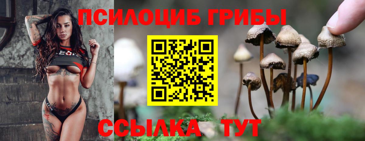 Галлюциногенные грибы Magic Shrooms Нововоронеж